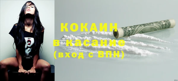 индика Алексин