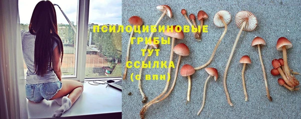 прущая мука Арсеньев