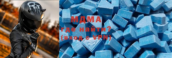 индика Алексин