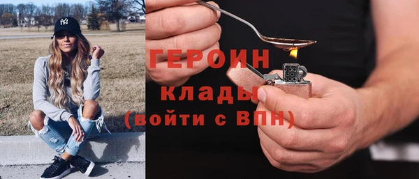 индика Алексин