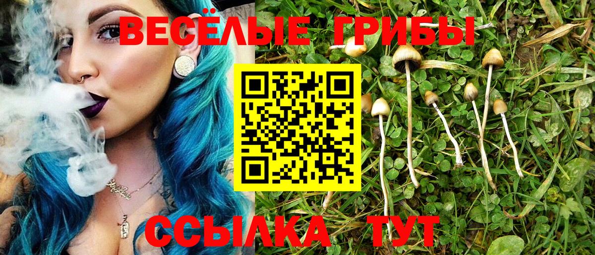 Псилоцибиновые грибы Psilocybine cubensis  Вход с VPN  купить   Галлюциногенные грибы мухоморы  Волхов 